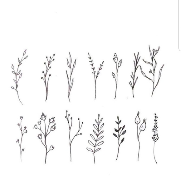 Meet your Posher, Monica - Picture 1 of 1